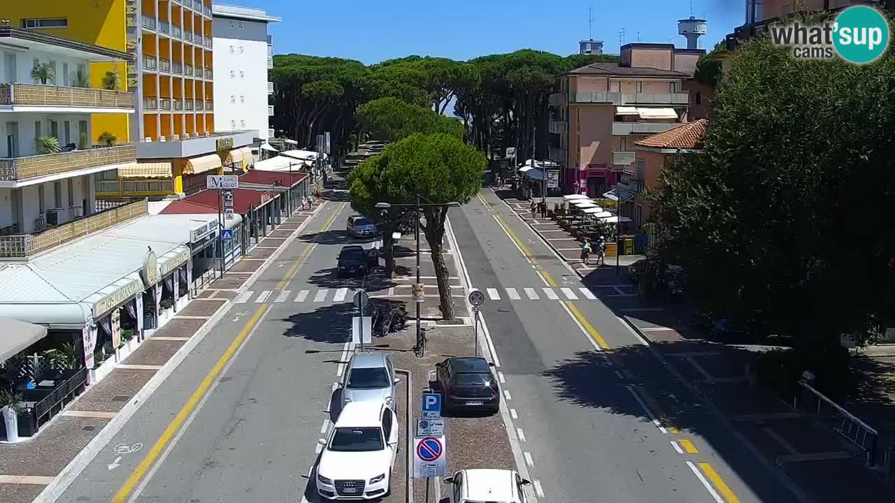 Camera en vivo Rosolina mare