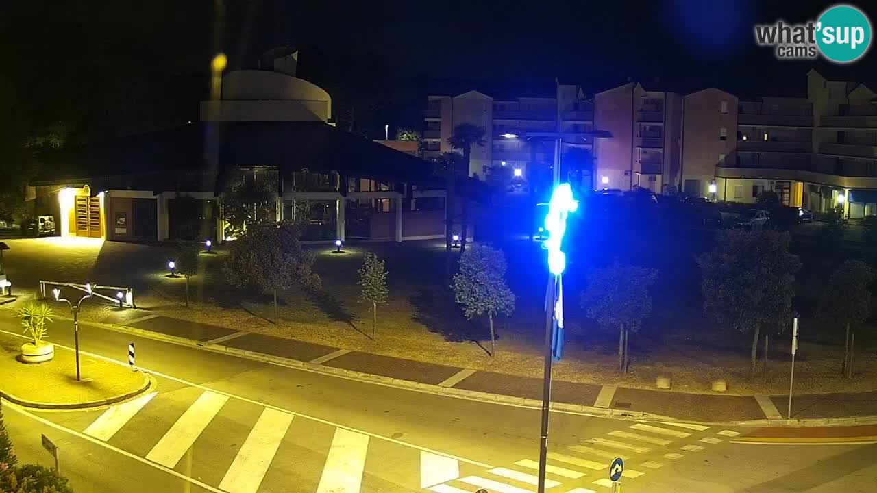 Livecam Rosolina mare