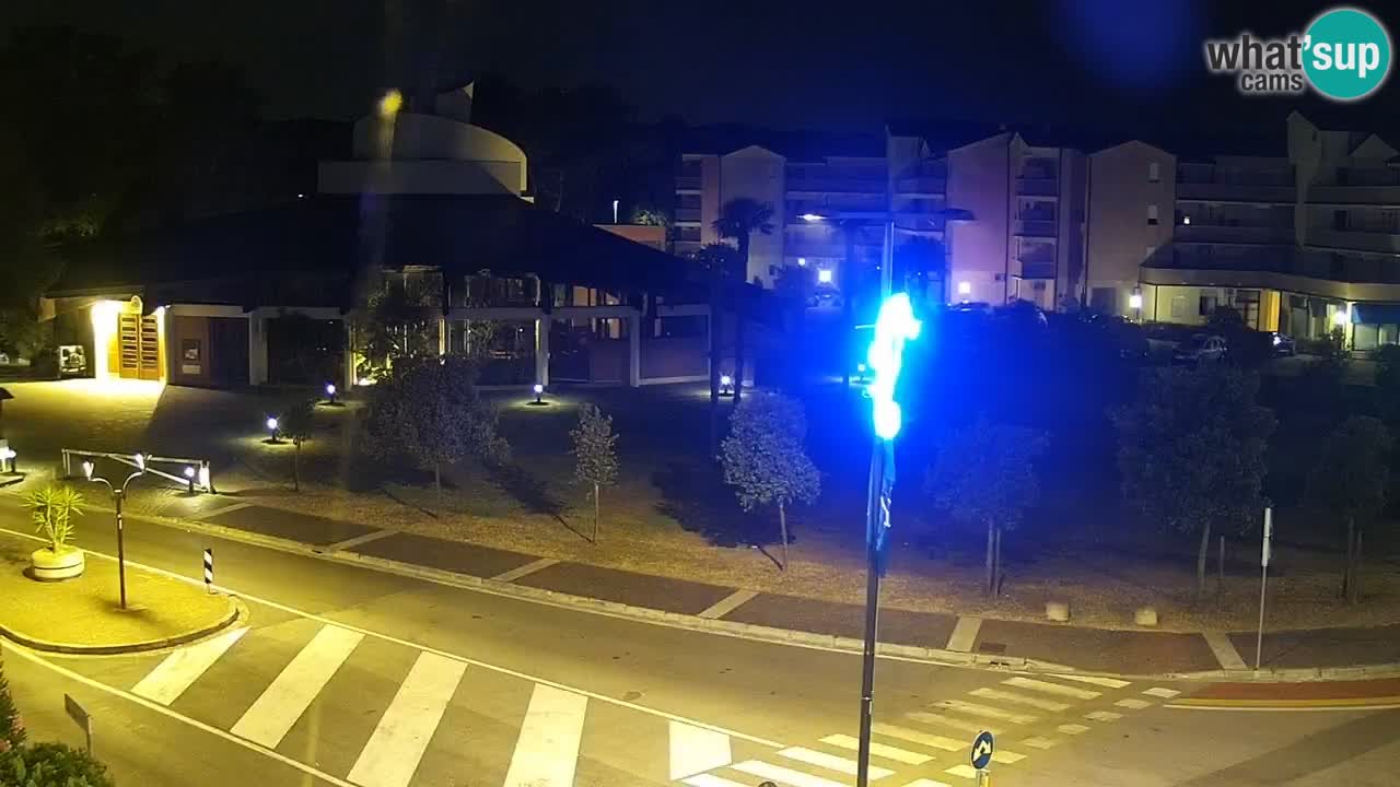 Camera en vivo Rosolina mare