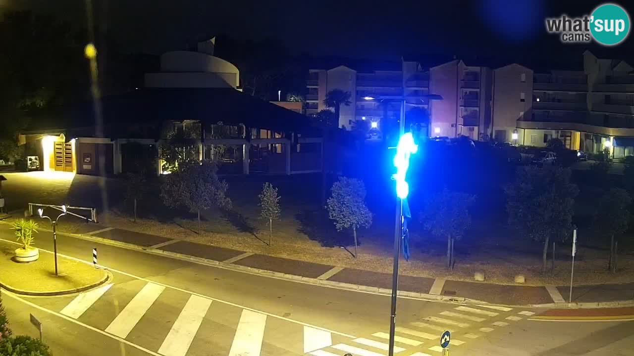 Camera en vivo Rosolina mare