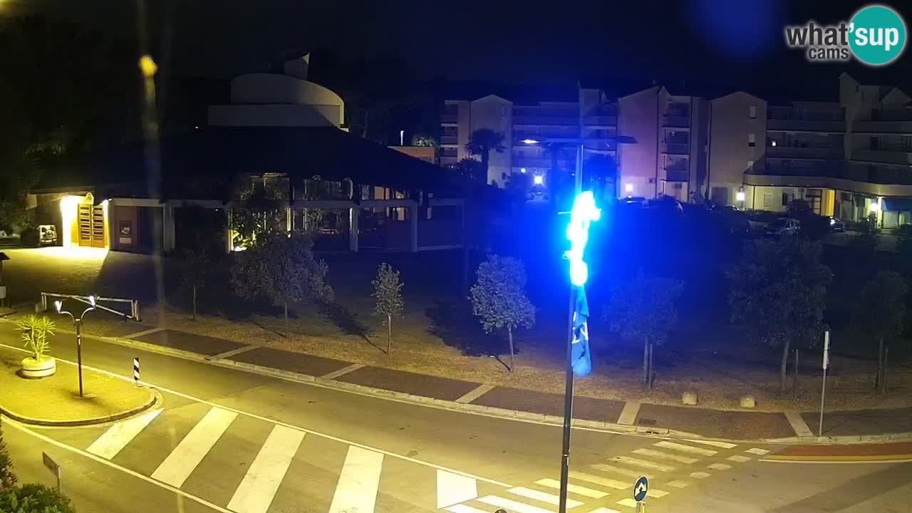 Livecam Rosolina mare