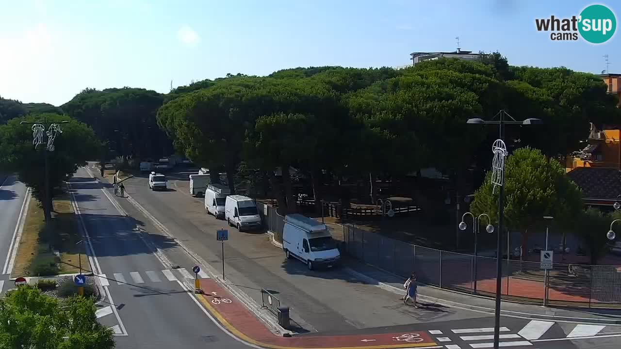 Camera en vivo Rosolina mare