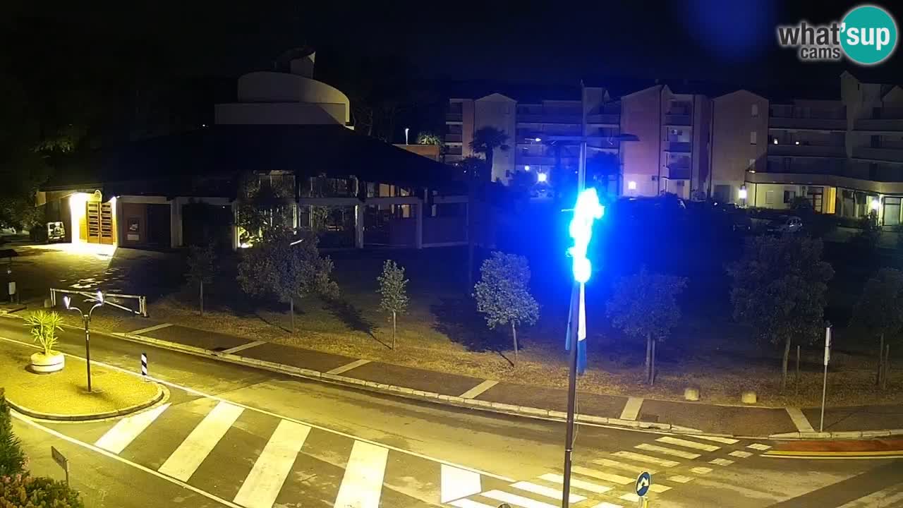 Livecam Rosolina mare