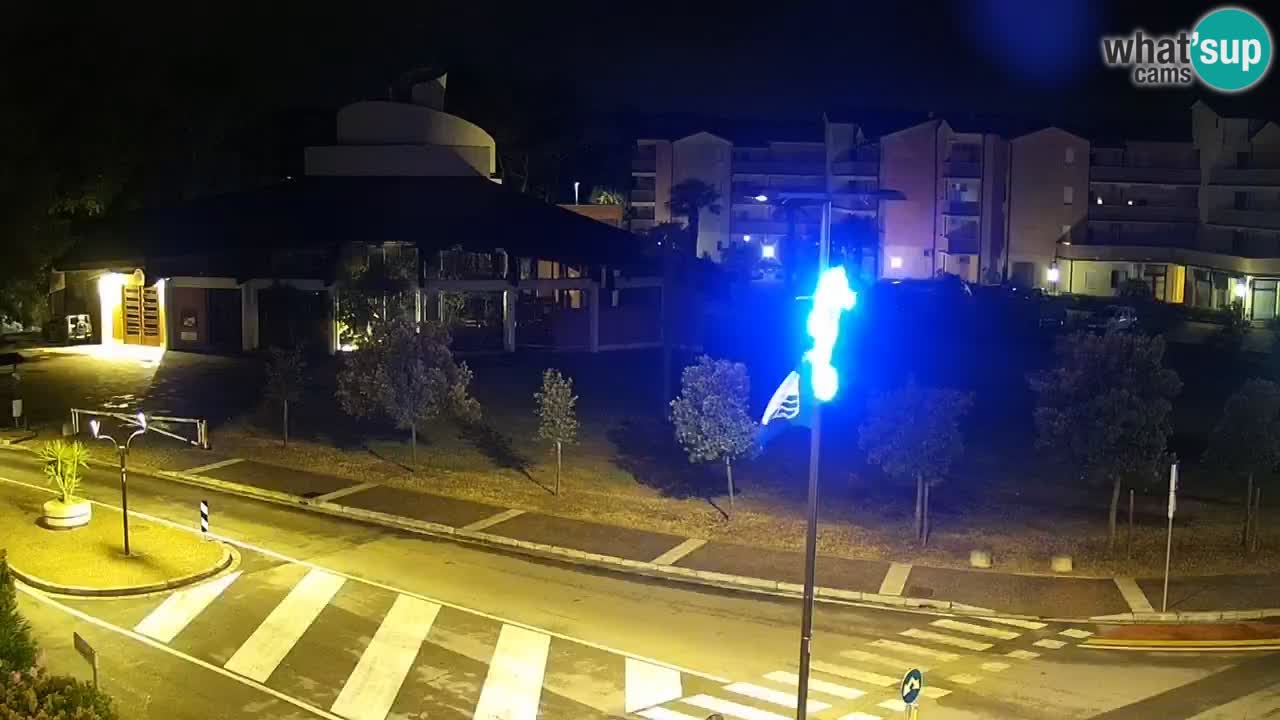 Camera en vivo Rosolina mare