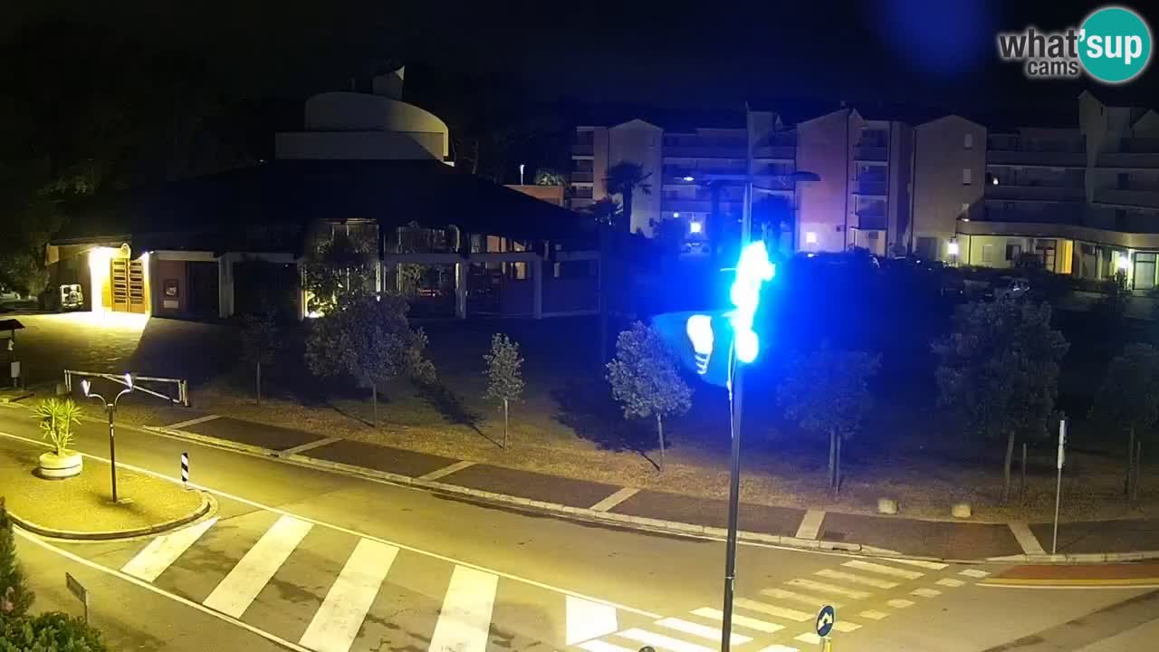 Camera en vivo Rosolina mare