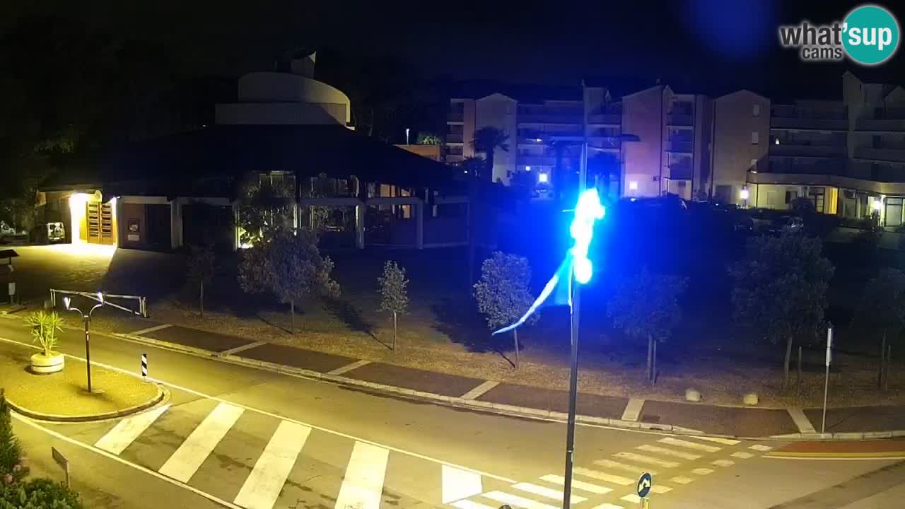 Camera en vivo Rosolina mare