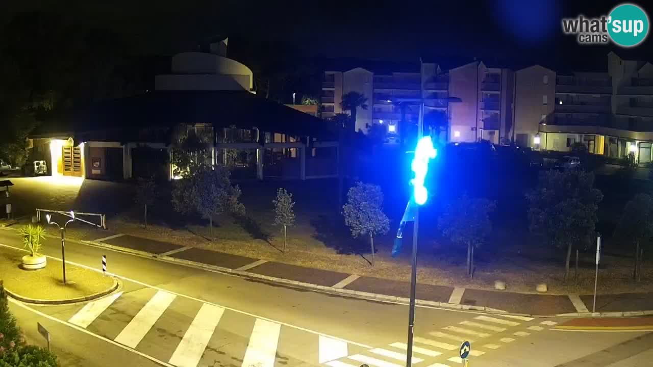Livecam Rosolina mare