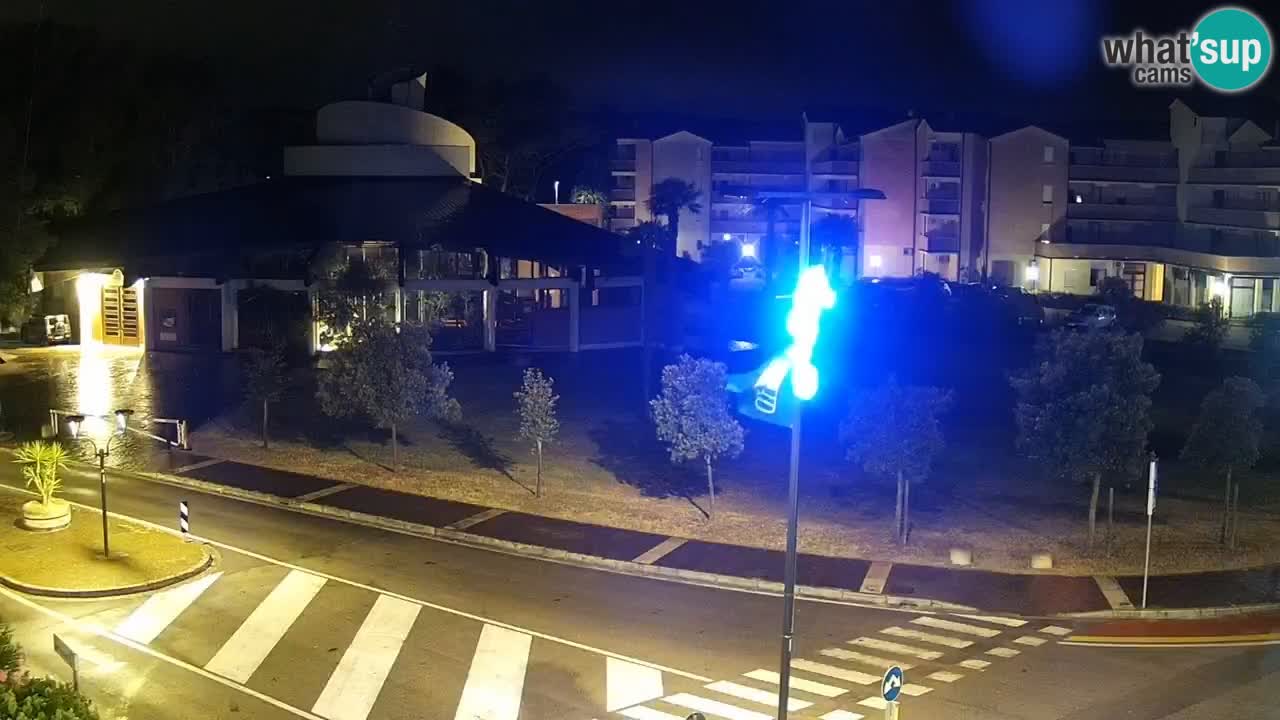 Camera en vivo Rosolina mare