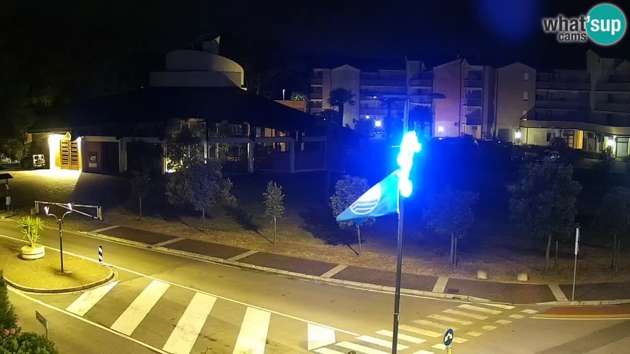 Livecam Rosolina mare