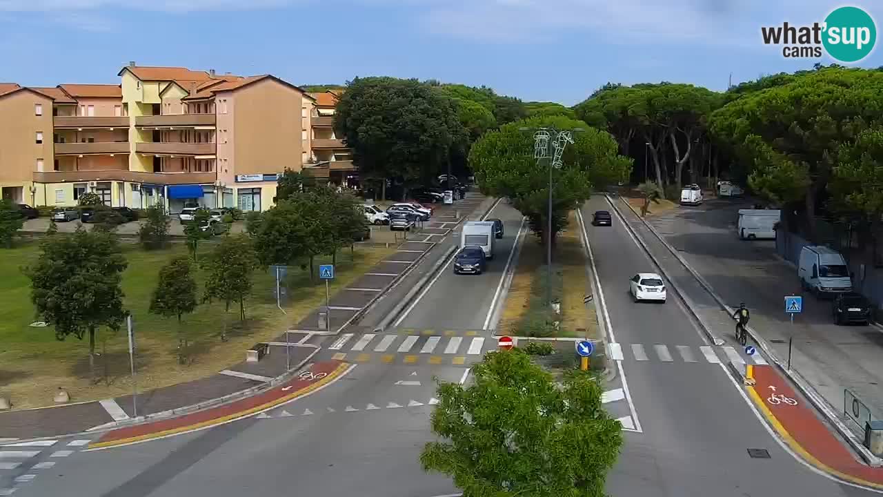 Camera en vivo Rosolina mare