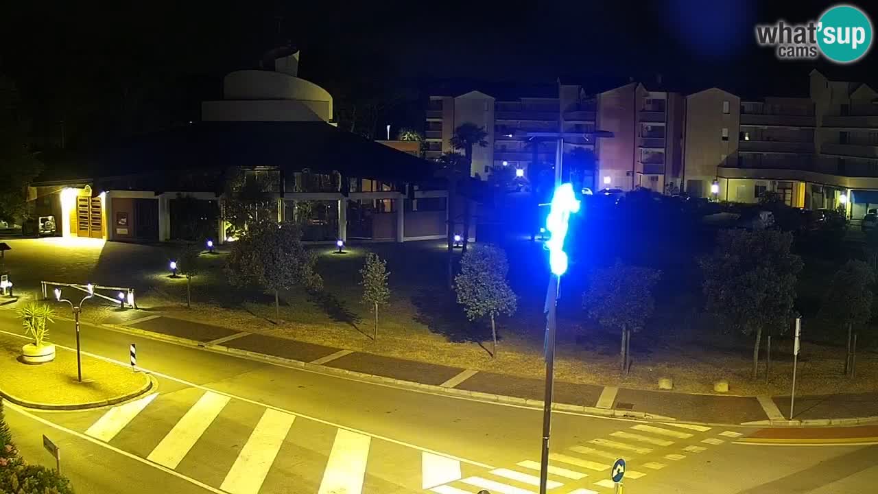 Camera en vivo Rosolina mare