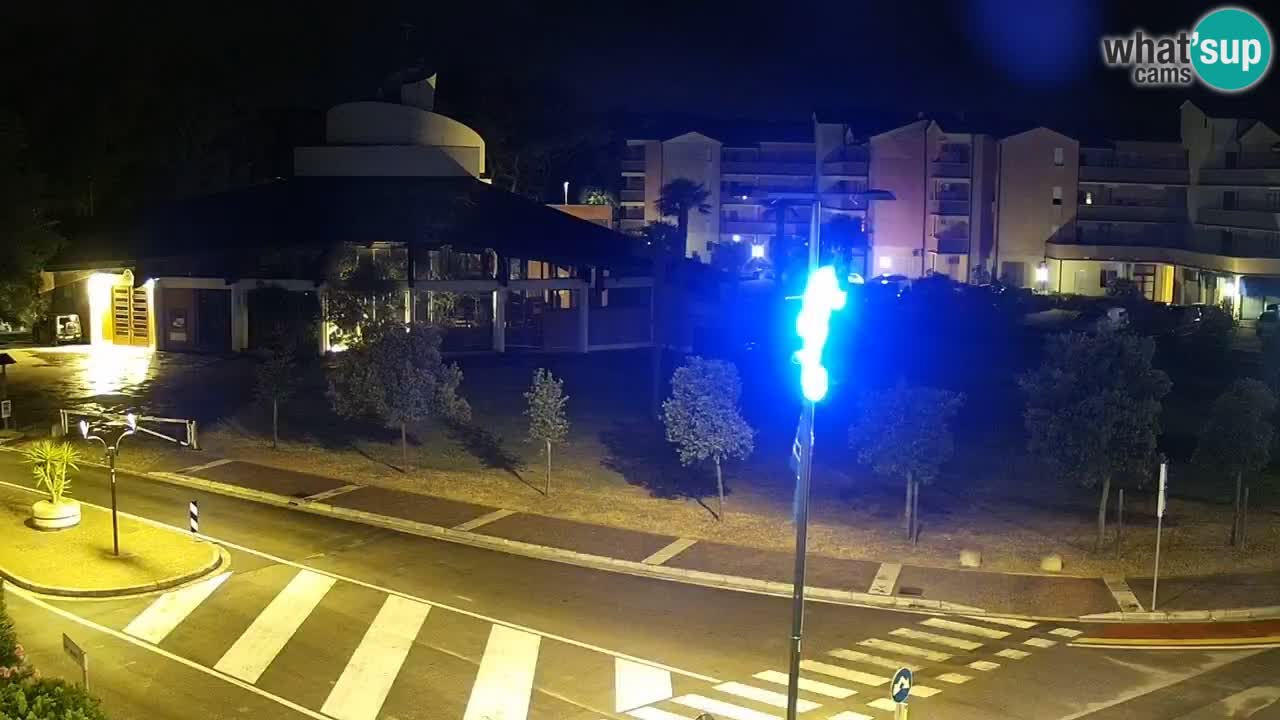 Camera en vivo Rosolina mare
