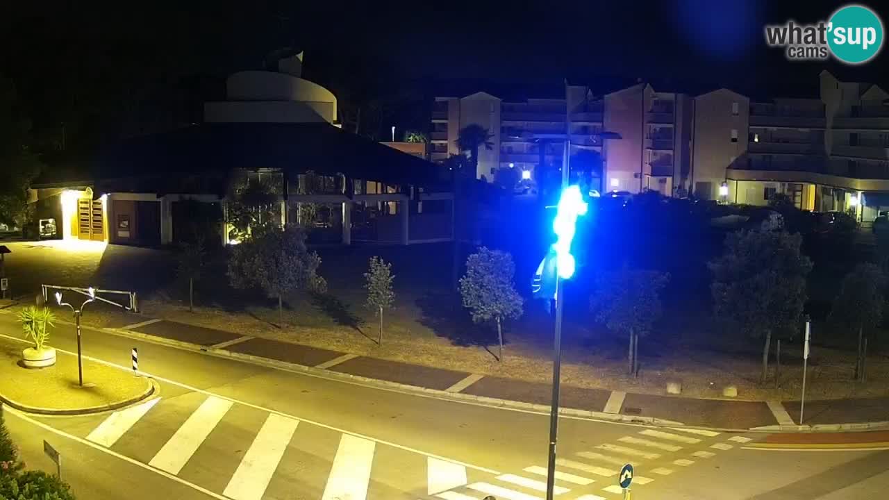 Livecam Rosolina mare