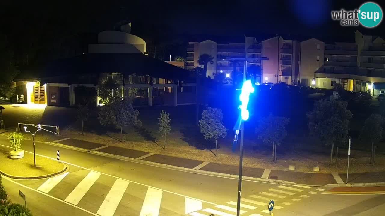 Livecam Rosolina mare