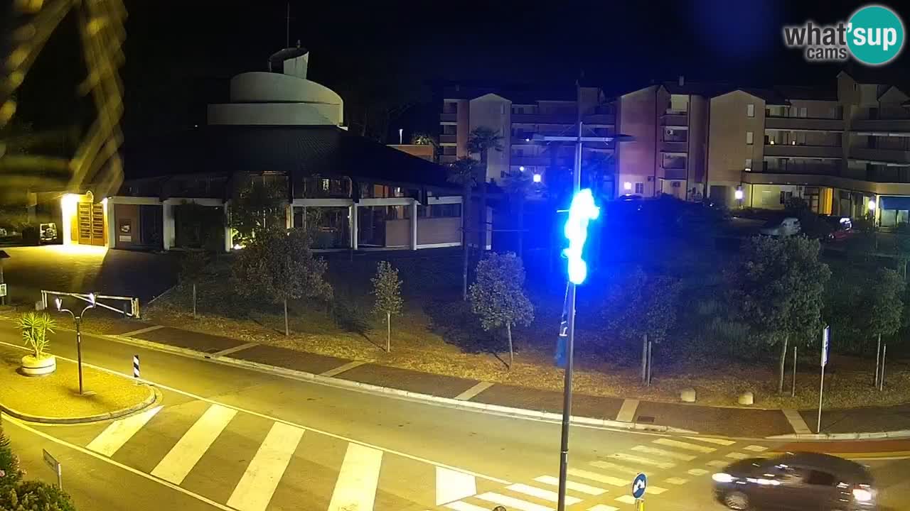 Livecam Rosolina mare