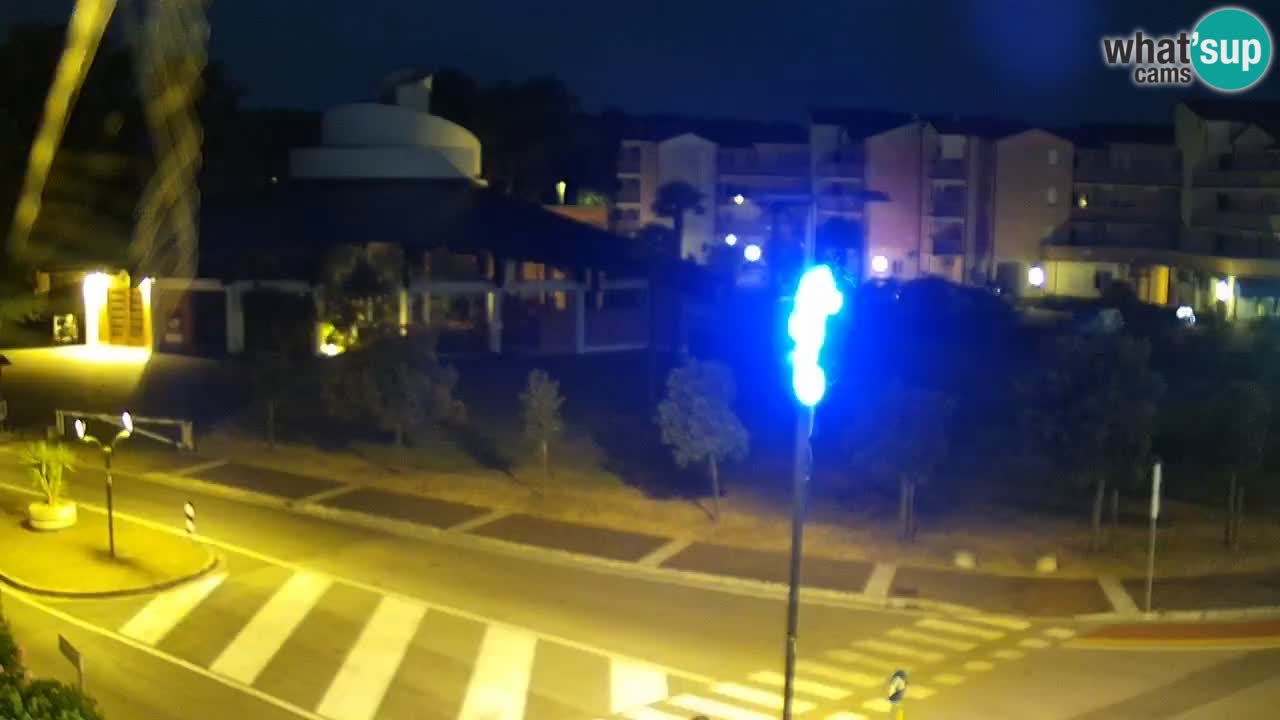 Livecam Rosolina mare