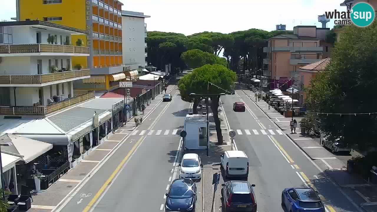 Camera en vivo Rosolina mare