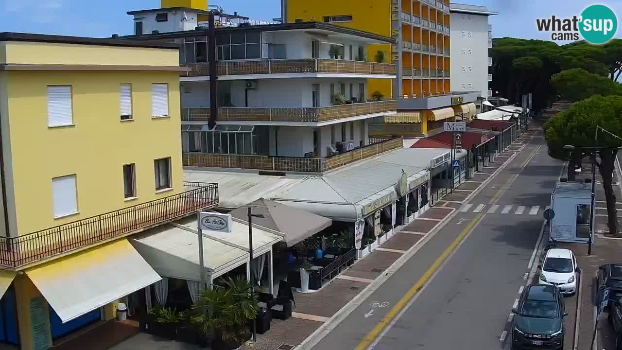 Camera en vivo Rosolina mare