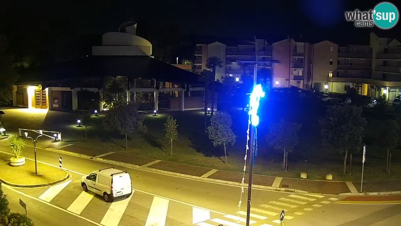 Camera en vivo Rosolina mare