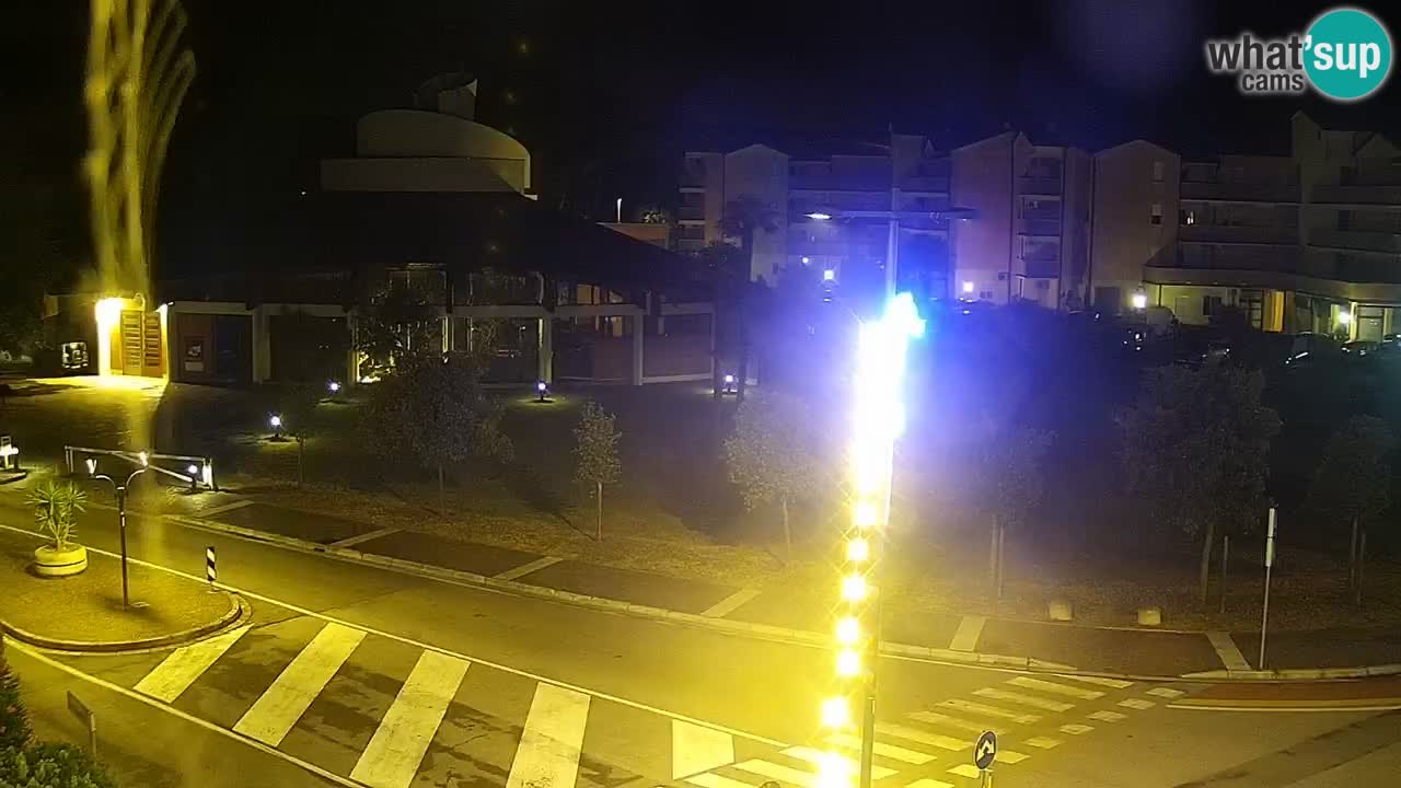 Livecam Rosolina mare
