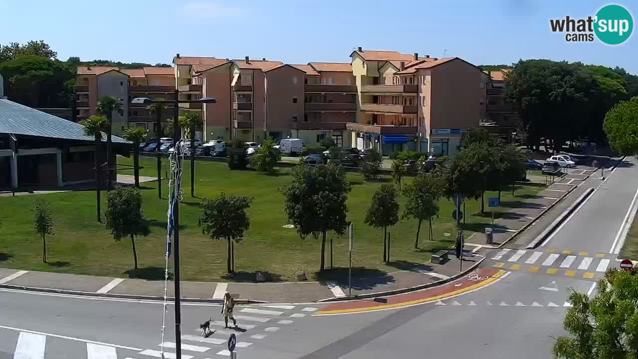 Livecam Rosolina mare