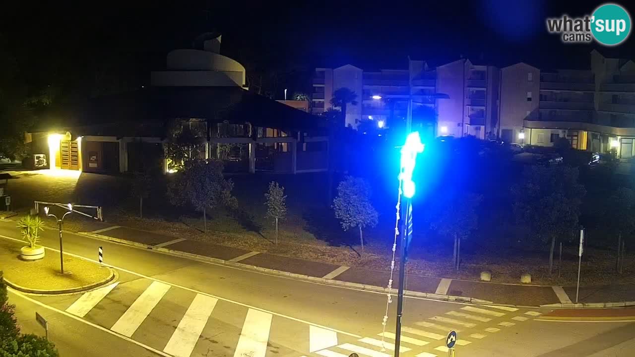 Livecam Rosolina mare