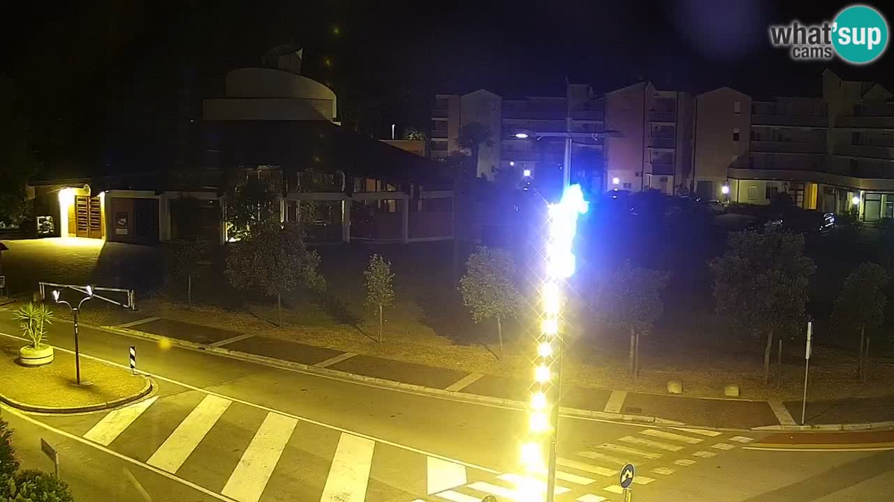 Camera en vivo Rosolina mare