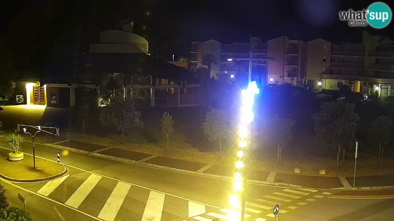 Camera en vivo Rosolina mare