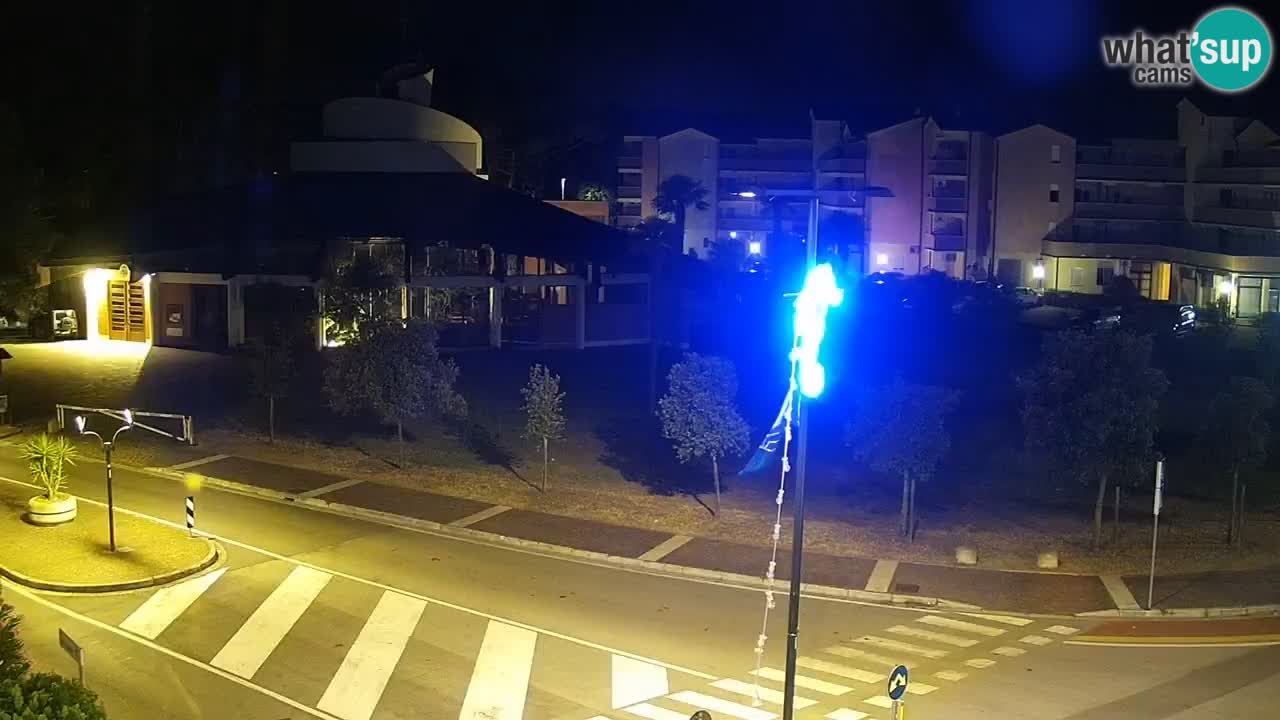Camera en vivo Rosolina mare
