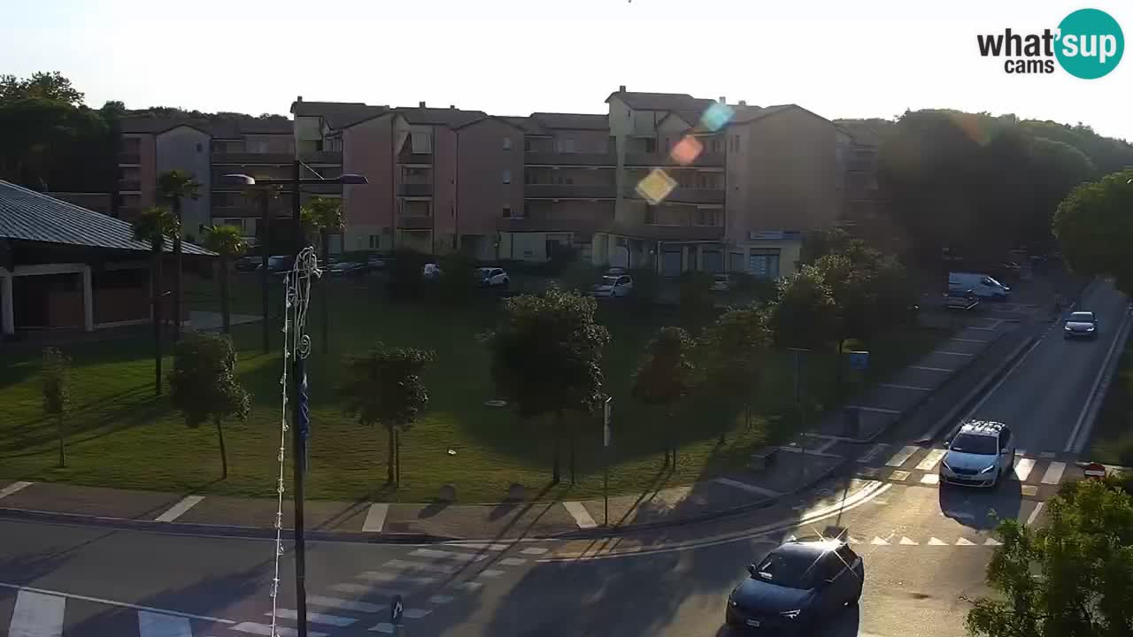 Livecam Rosolina mare