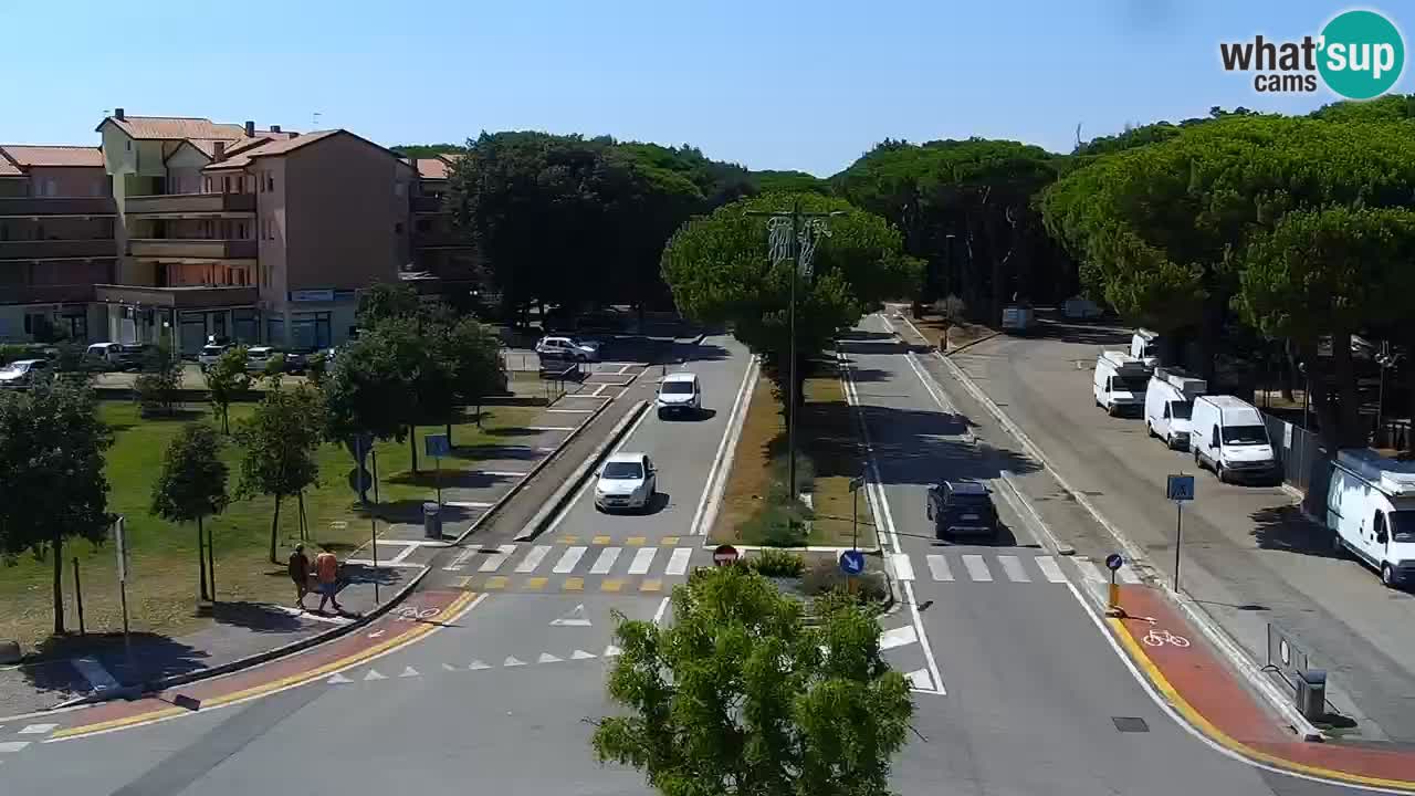 Camera en vivo Rosolina mare