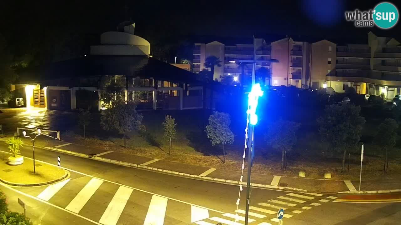 Camera en vivo Rosolina mare