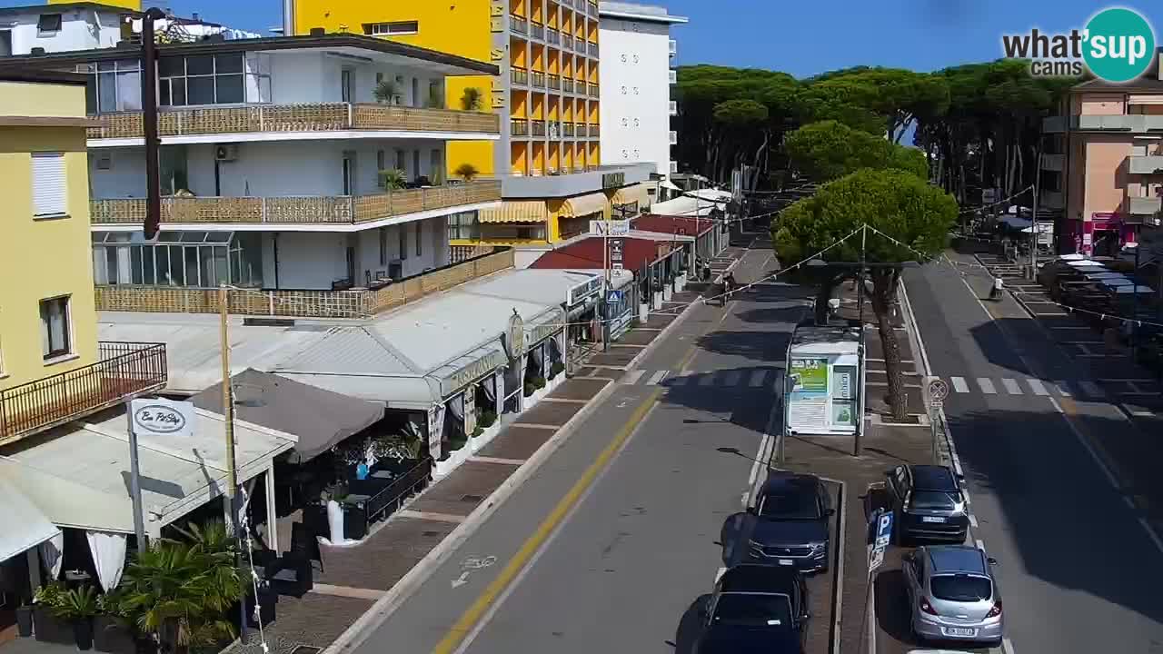 Livecam Rosolina mare