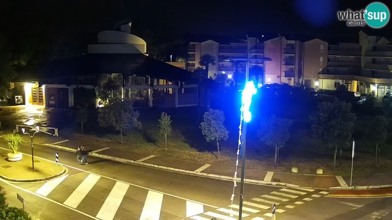 Camera en vivo Rosolina mare