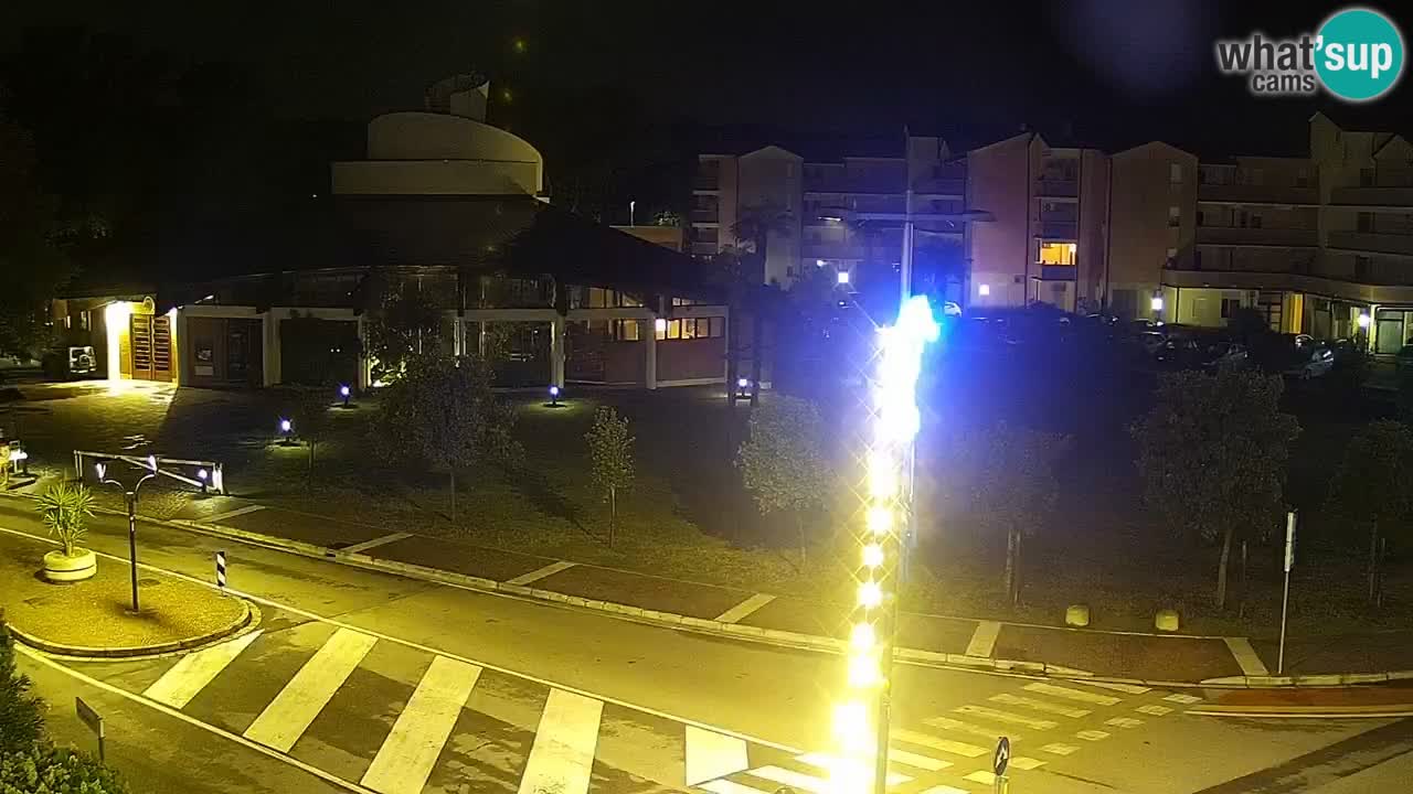 Livecam Rosolina mare
