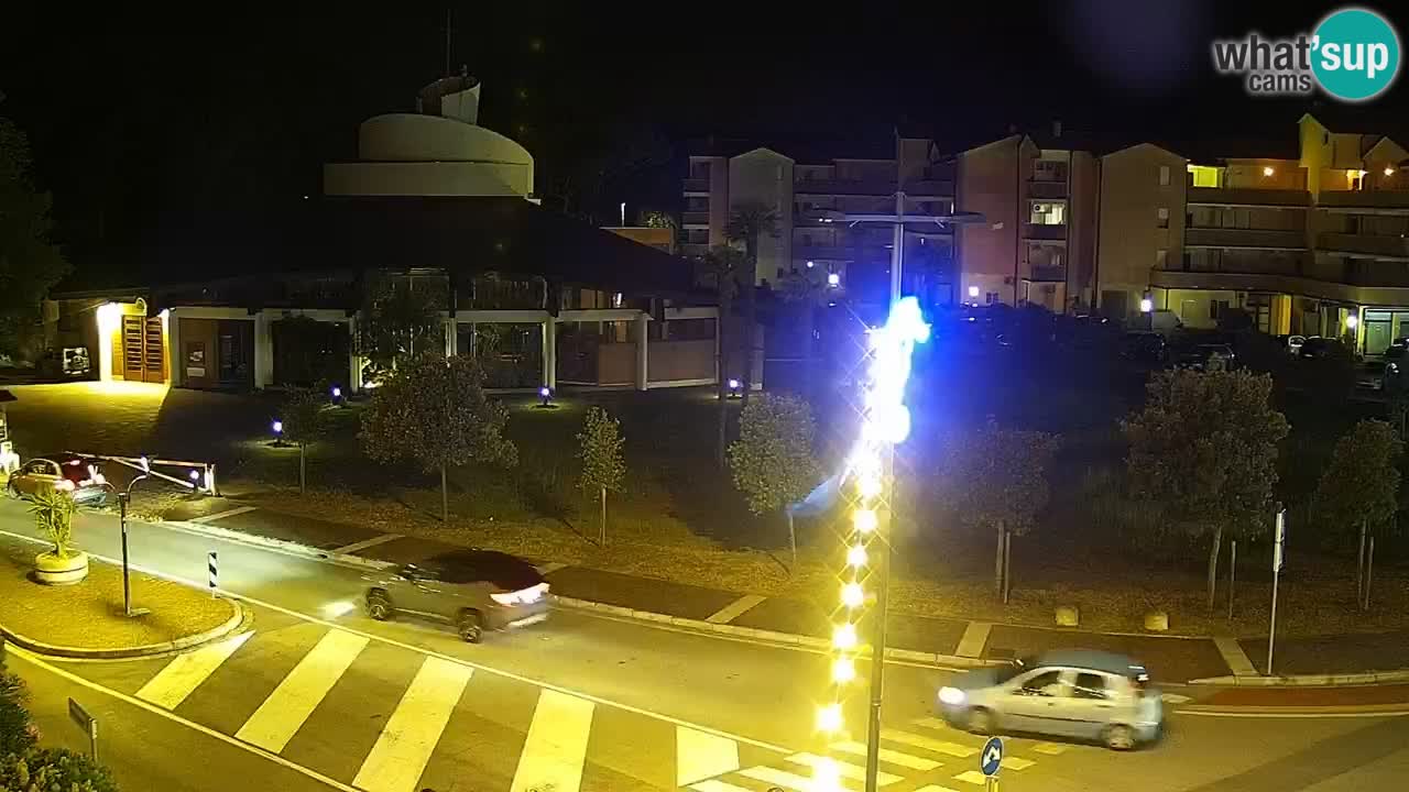 Camera en vivo Rosolina mare
