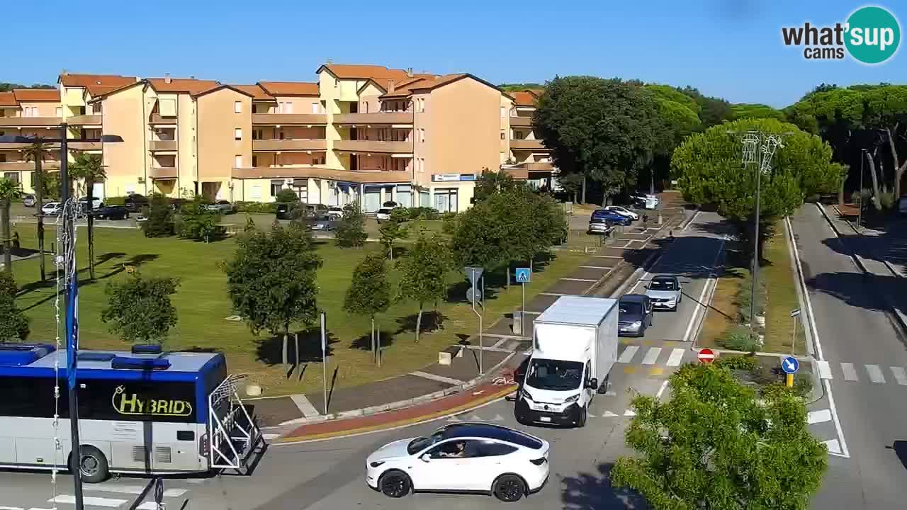 Livecam Rosolina mare