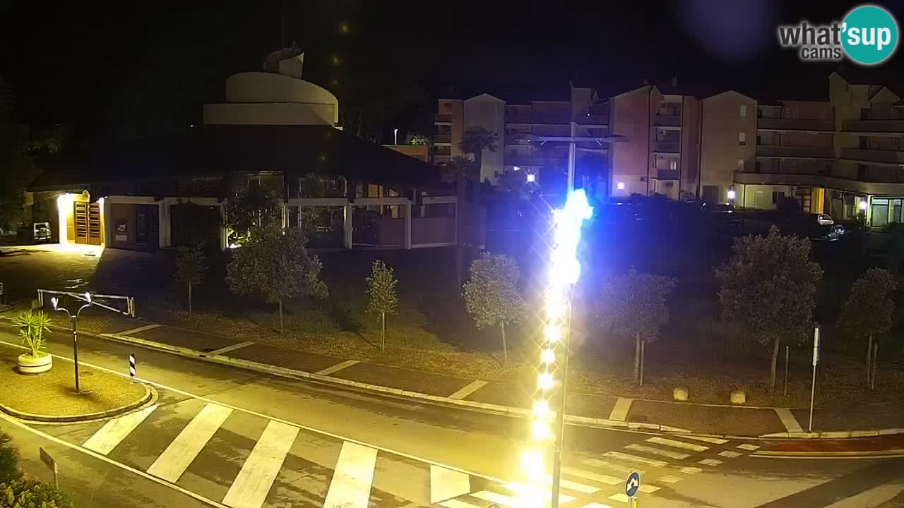 Livecam Rosolina mare