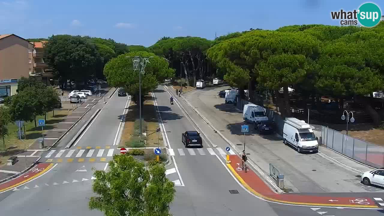 Livecam Rosolina mare