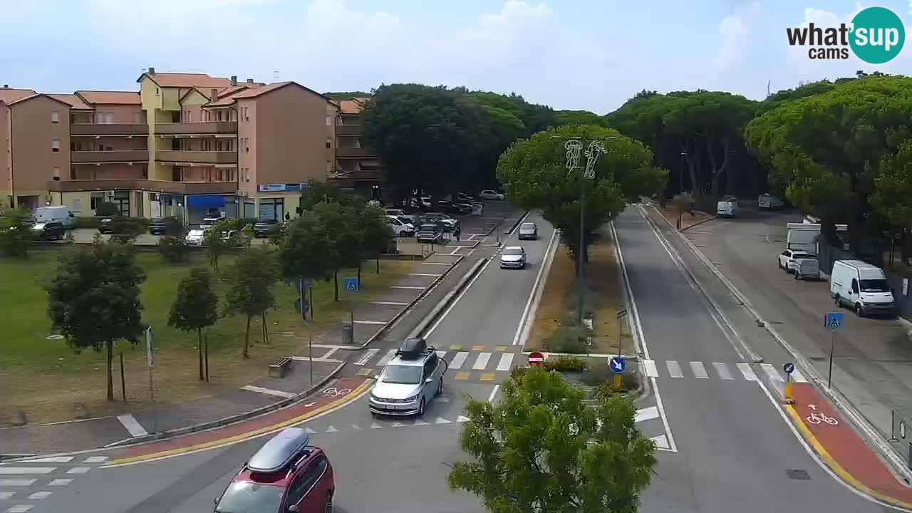 Livecam Rosolina mare