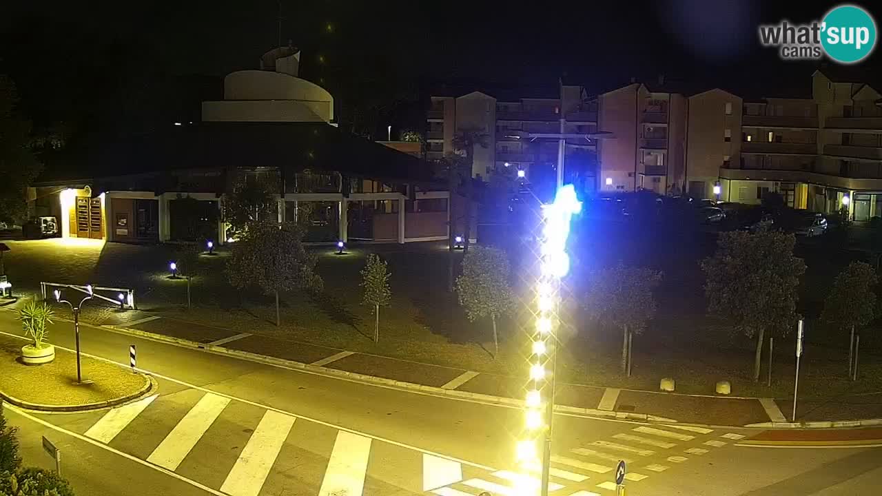 Camera en vivo Rosolina mare