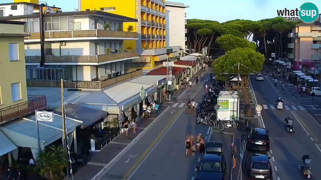 Camera en vivo Rosolina mare