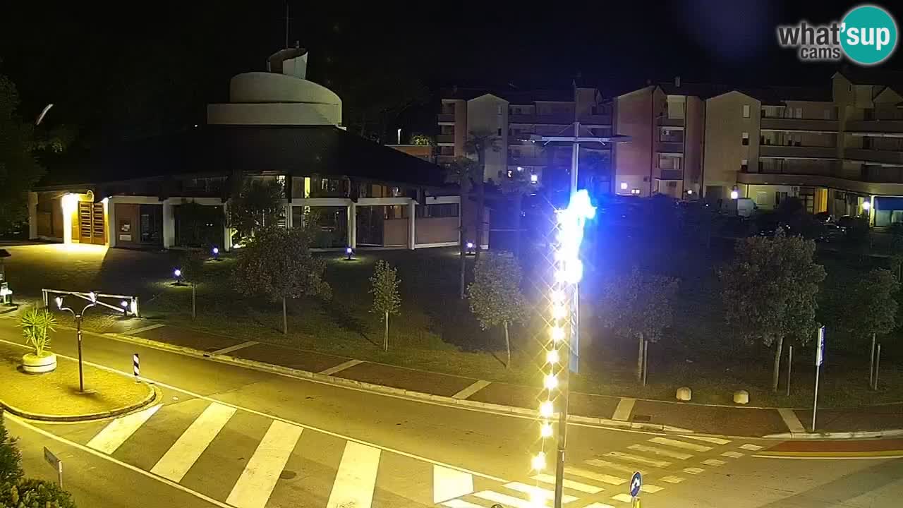 Camera en vivo Rosolina mare