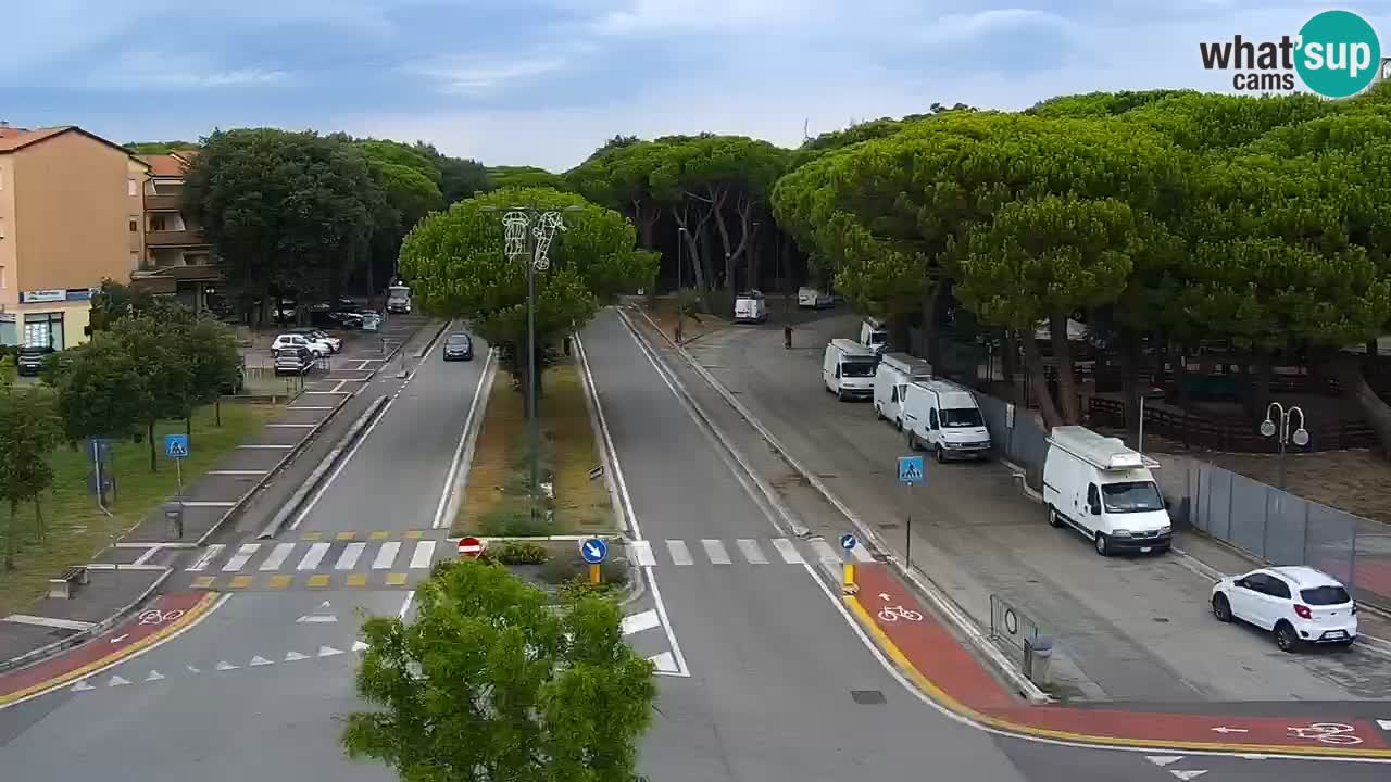 Livecam Rosolina mare