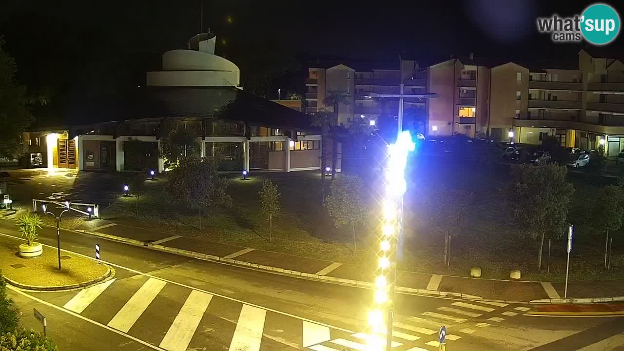 Livecam Rosolina mare