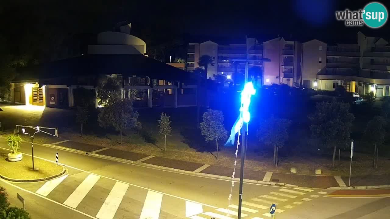 Camera en vivo Rosolina mare