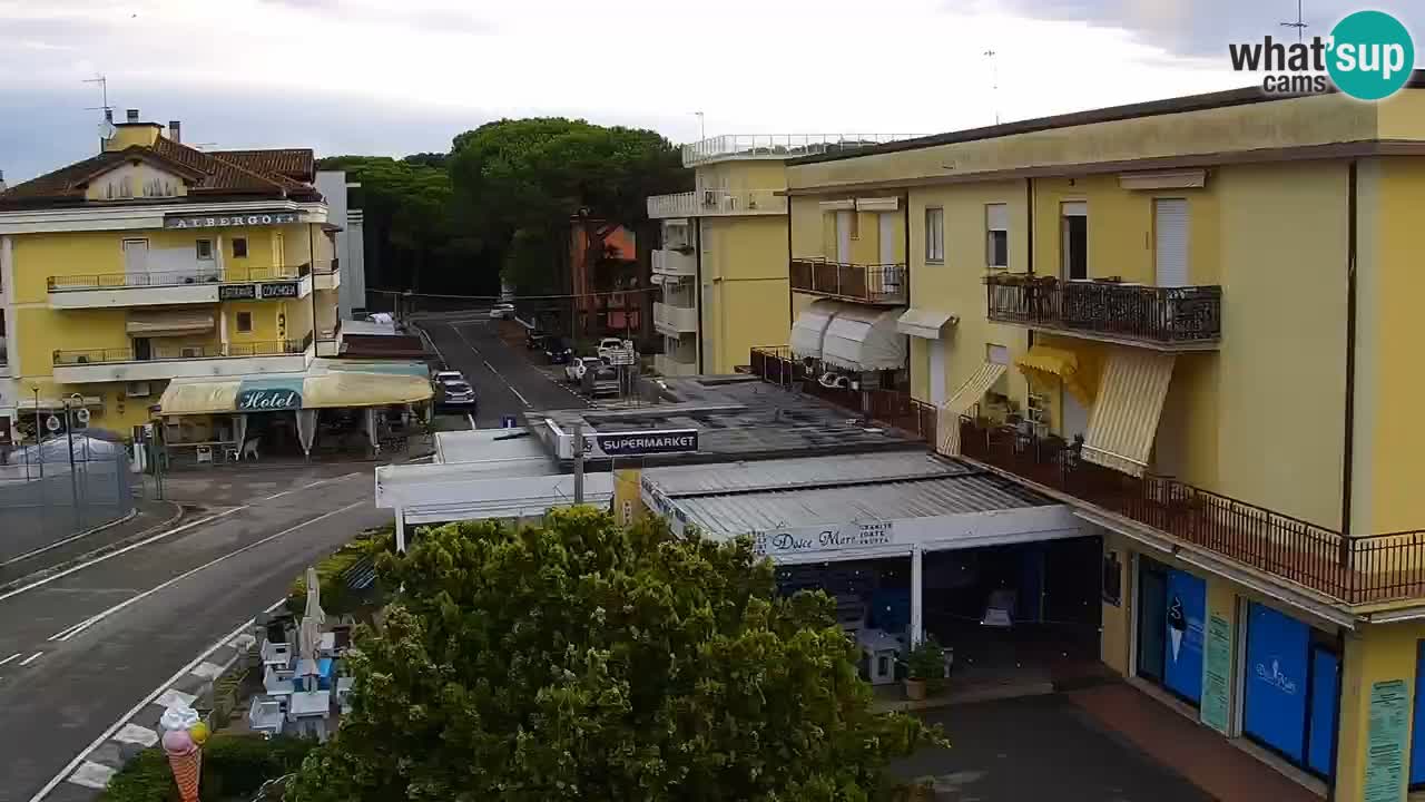 Livecam Rosolina mare