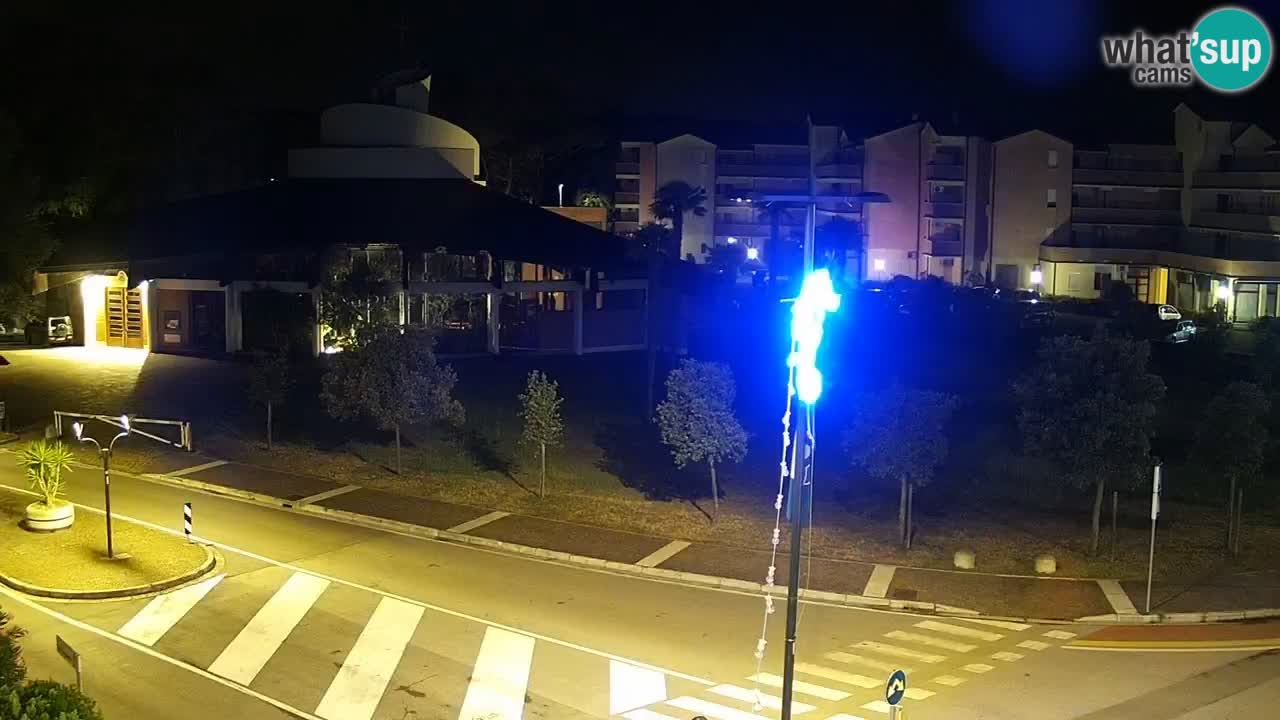 Livecam Rosolina mare