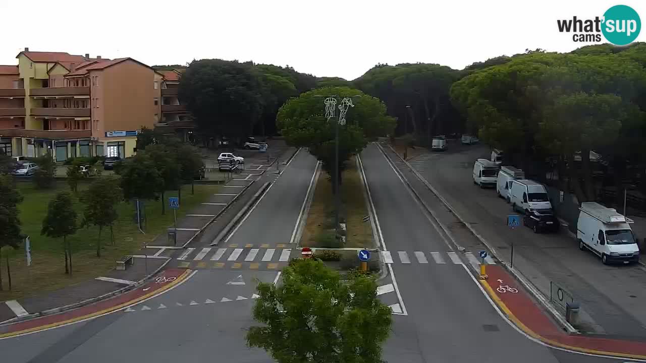 Camera en vivo Rosolina mare