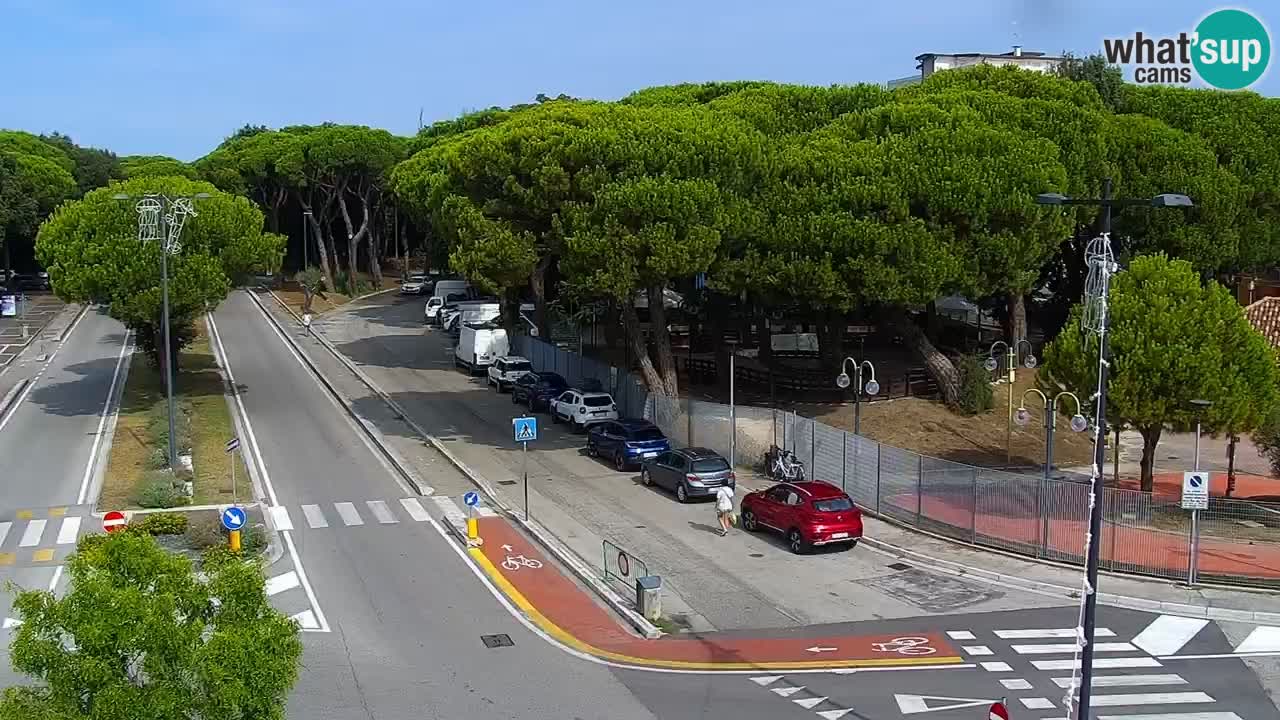 Livecam Rosolina mare